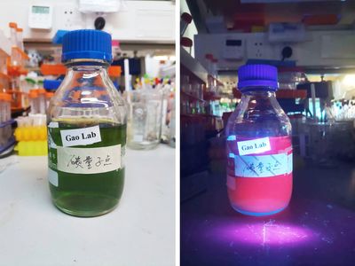 深圳科學(xué)家研發(fā)新型納米材料,有望提高農(nóng)作物產(chǎn)量