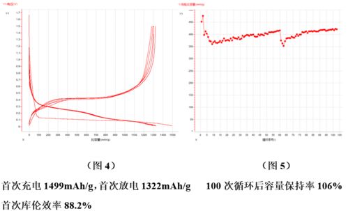 技術前沿│全球硅基負極材料專利數量已逾萬件，探尋生物硅負極材料的秘密